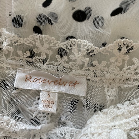 Rose Velvet Dotted tulle gown - Picture 12 of 13